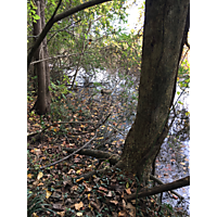 Suffolk King Tide image